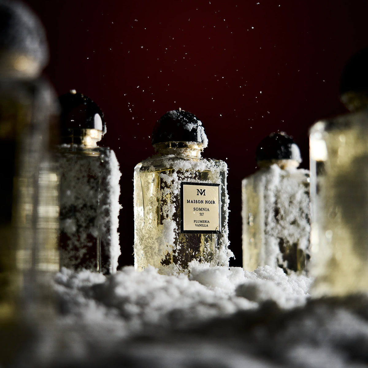 Flacons standing in deep snow under low winter light