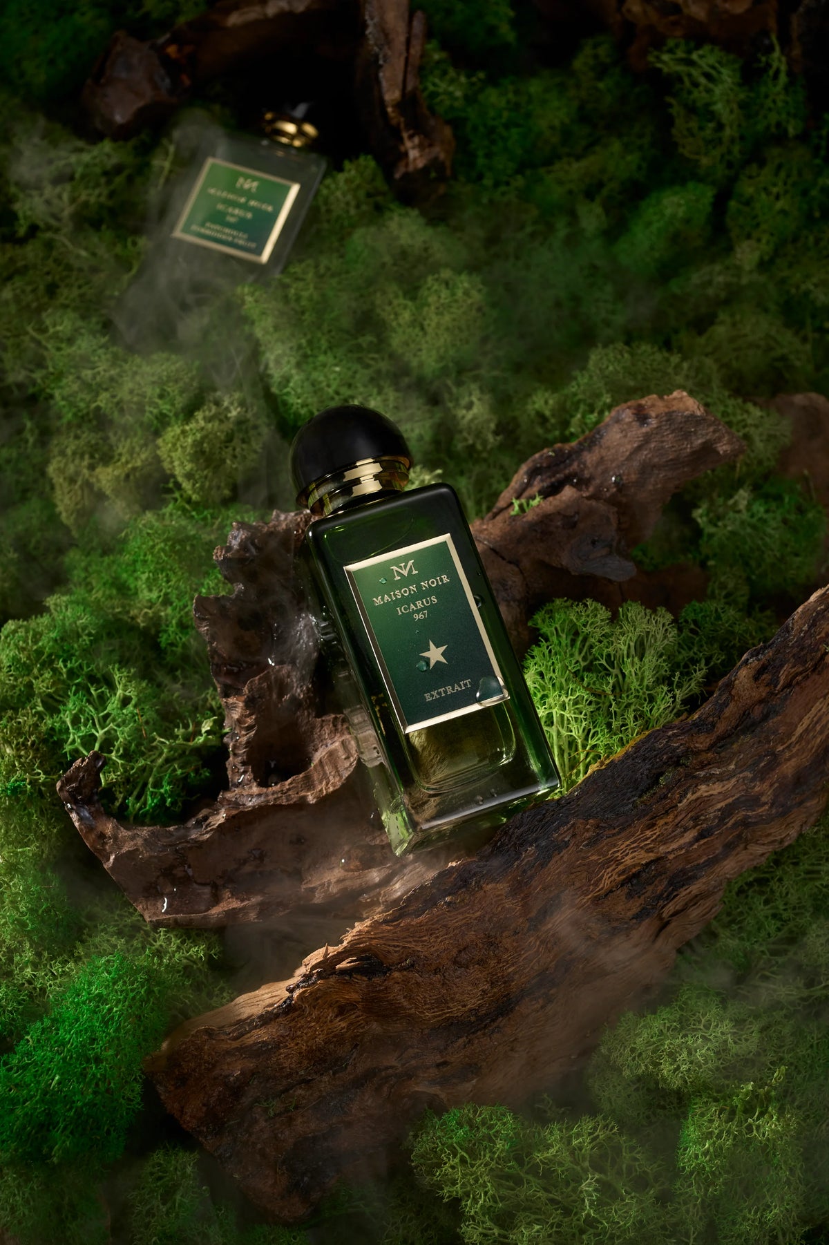 A dark green flacon among moss and driftwood in forest light