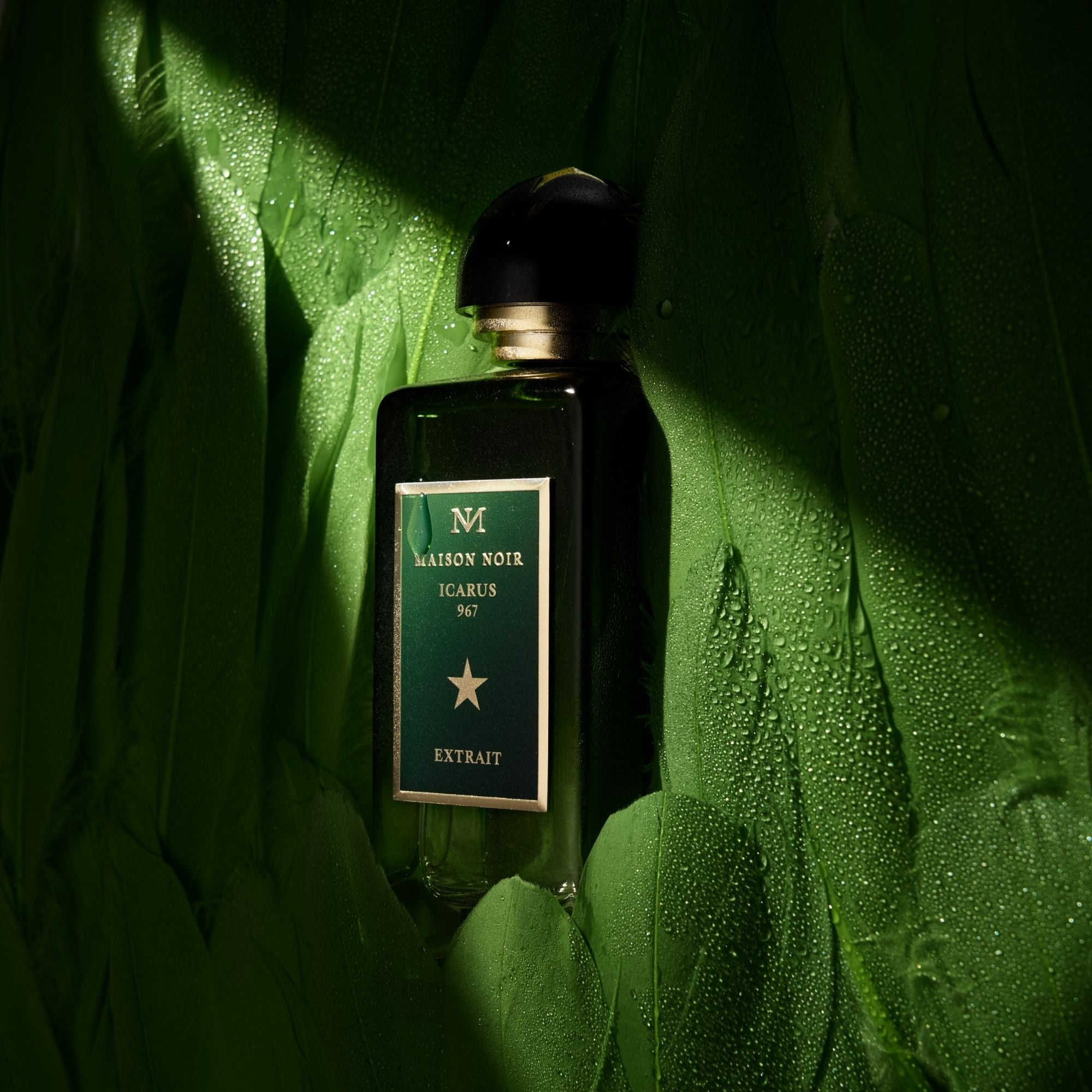 Icarus 967 Extrait Sample