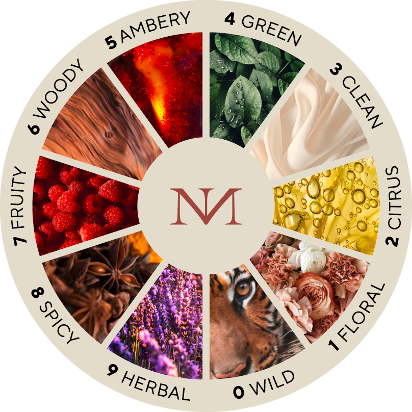 The Maison Noir fragrance wheel